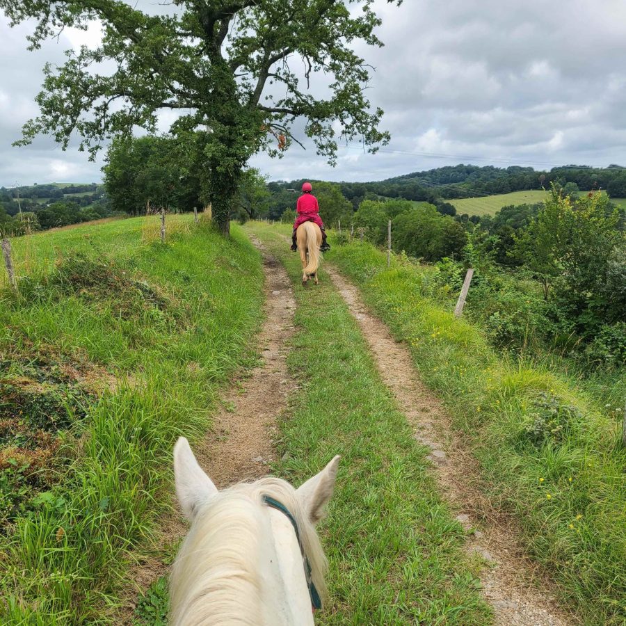 20230713_125811-min-compressed