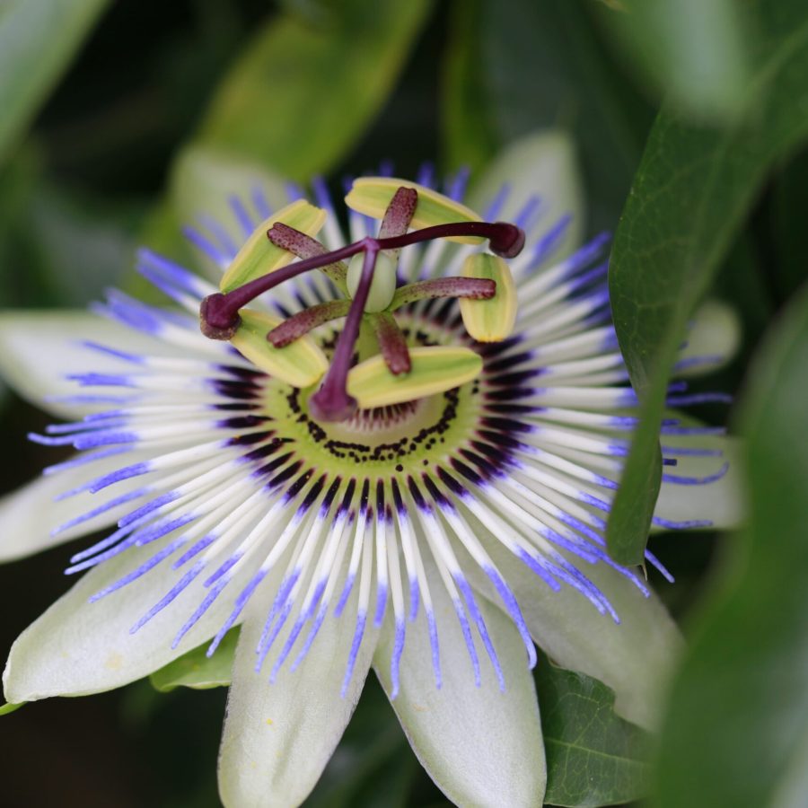 2F2B4AE7-79AE-41BF-A724-E091B53B6BC8