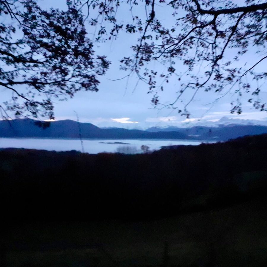 3842ffb7-9ee3-4a51-b34a-07ccb3f641b3