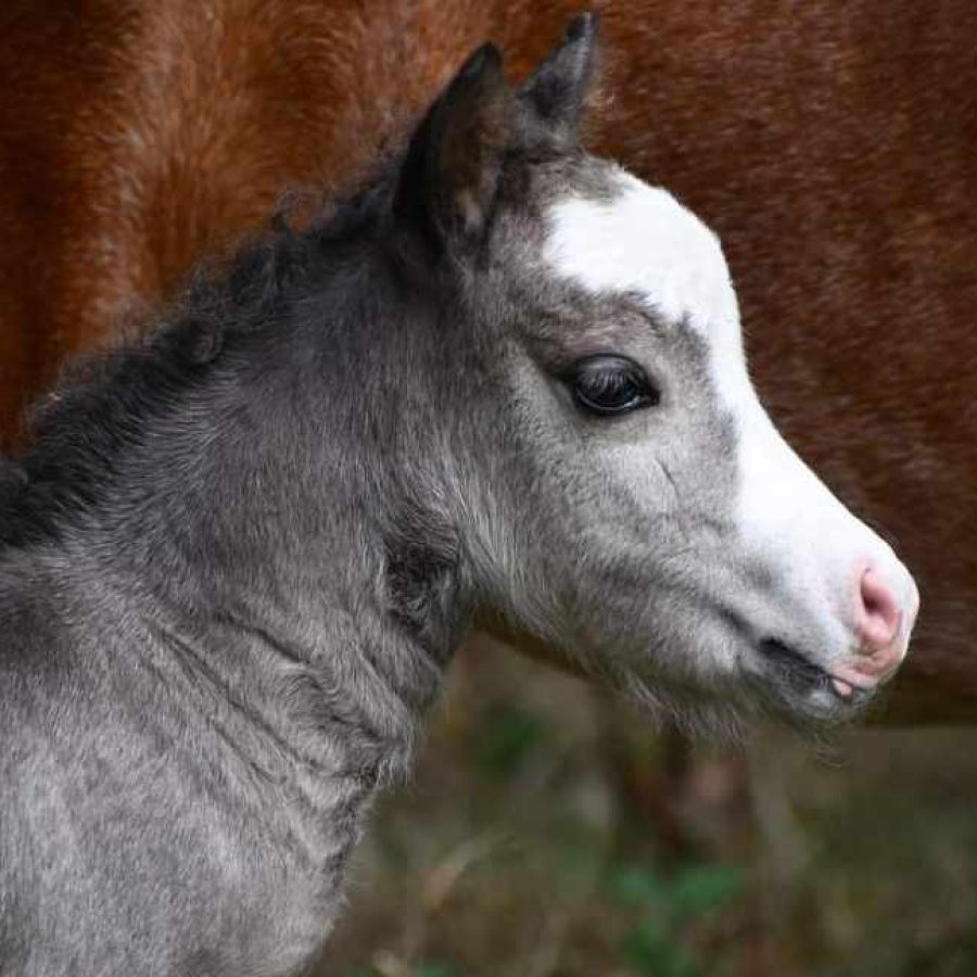 85EA62DE-BC0B-40A7-8505-41A1573560FA