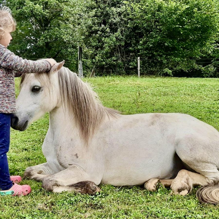 AD09D799-4978-4A8F-9047-CCAFCAF20A6A_1_201_a