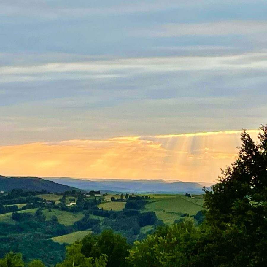 C6271B78-D366-43E1-A9B1-754E3473B2BD