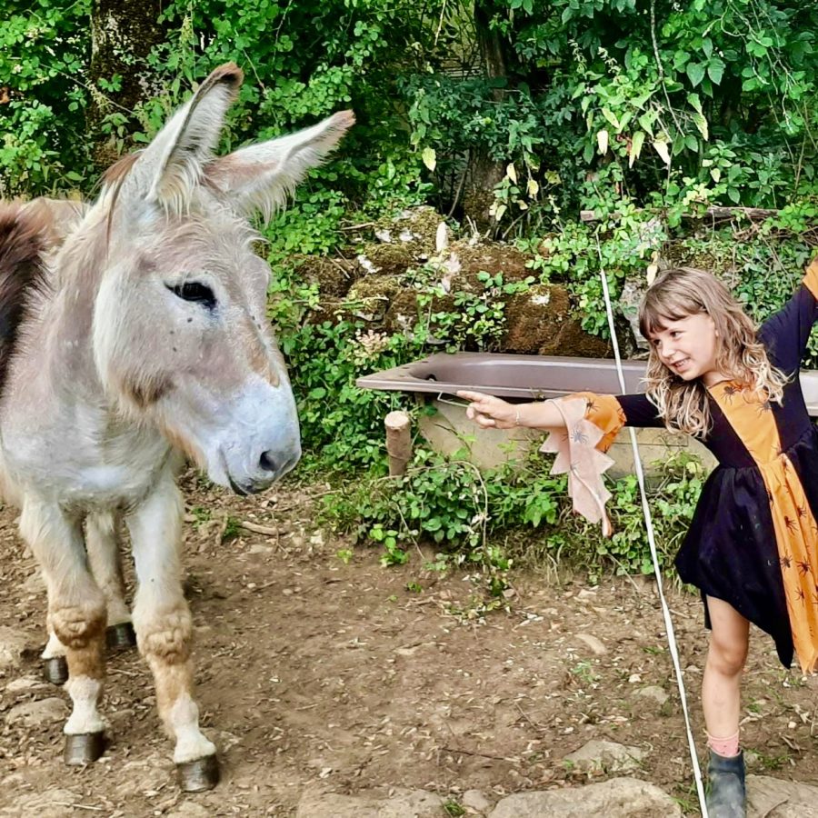 D35AF3BF-51BA-46C5-8DE5-CA50BF51BC45_1_201_a