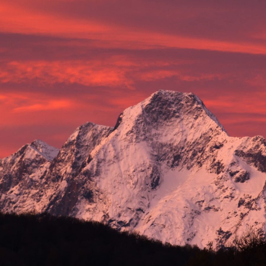 FB_IMG_1763121401149