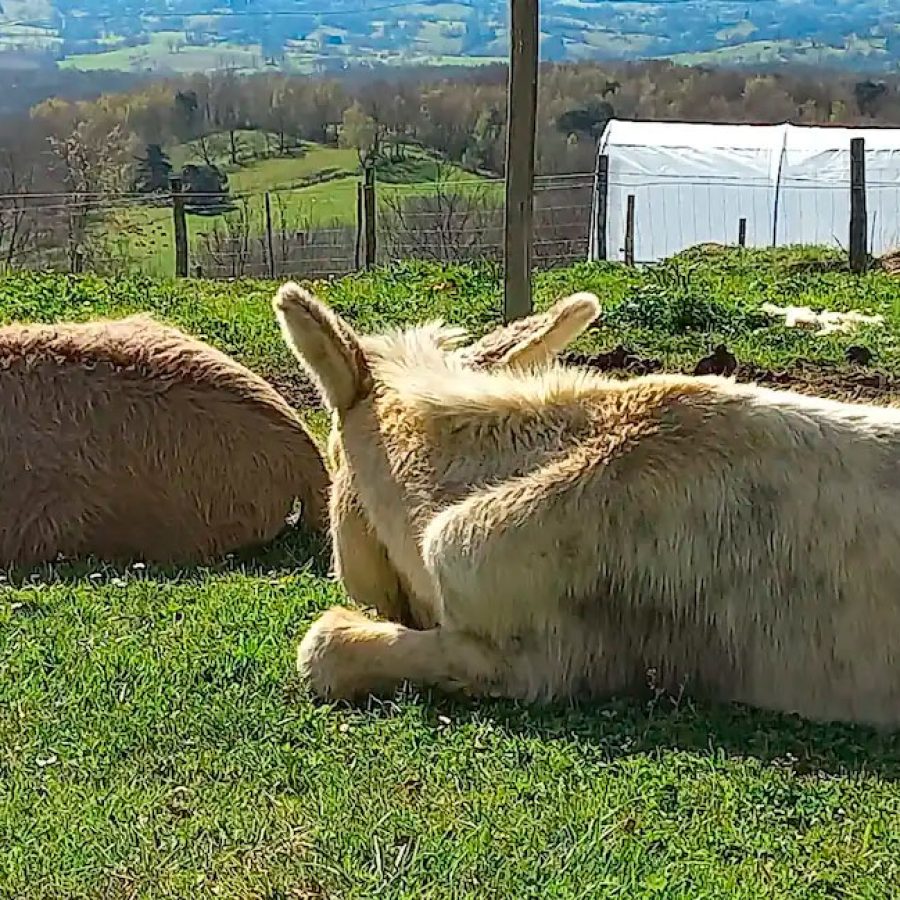 a34ee38d-afab-4903-816d-3f98a84f699b