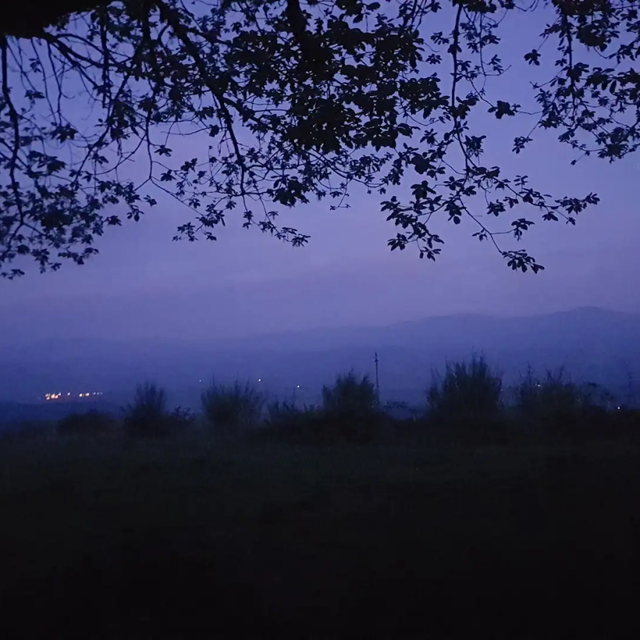 e86eecfb-be2f-4620-a3f1-1db3bfb30f14