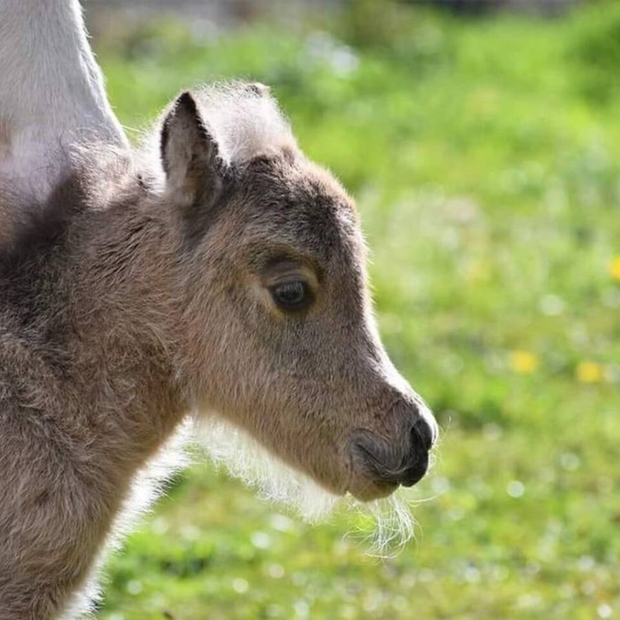 e9c73e1a-642a-499a-9600-1689407bf76c